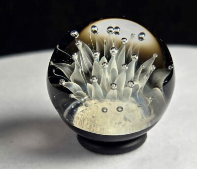 20260222_180022(1) 20260222_180022(1)